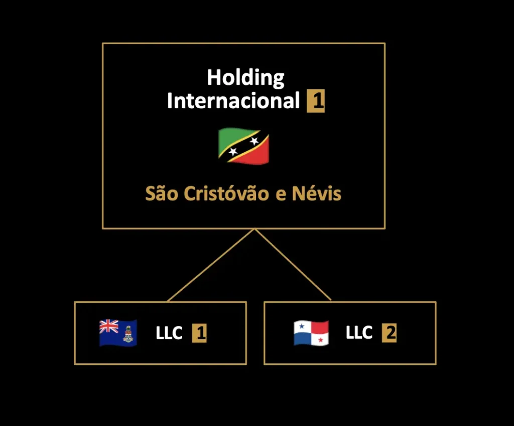 Estrutura Complexa: Holdings Controladoras e Múltiplas Entidades